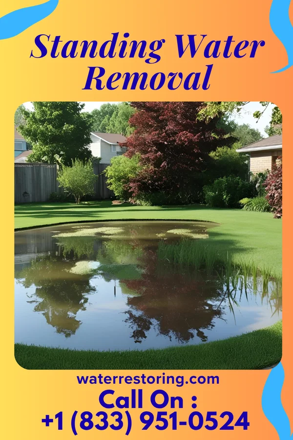 Standing Water Removal in Pontiac, MI